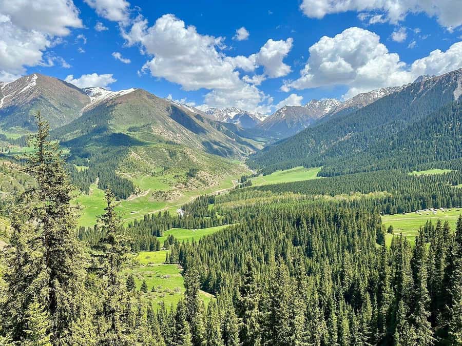 Ala Archa National Park: Hike with local legend guide - Good To Know