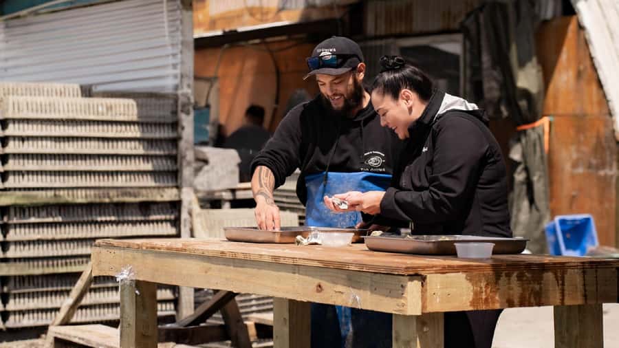 hope: Guided Cruise with Oyster Farm Visit and Lunch - Hope: Guided Cruise with Oyster Farm Visit and Lunch — A Genuine Aotearoa Coastal Adventure