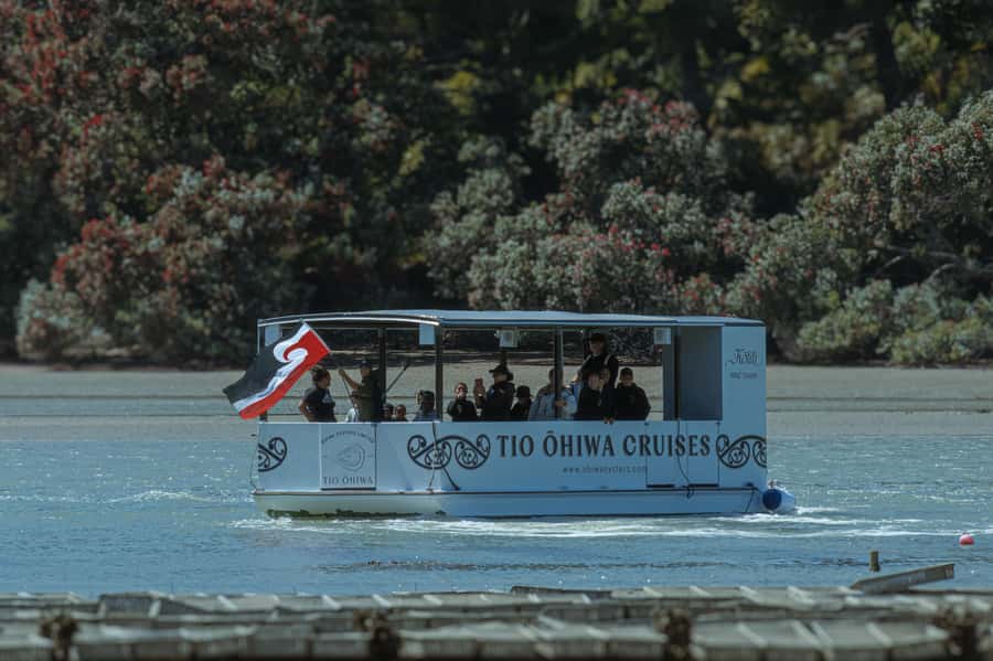 hope: Guided Cruise with Oyster Farm Visit and Lunch - Why This Tour Offers Real Value