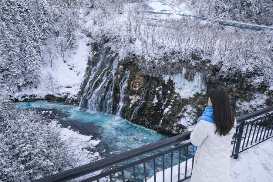 From Sapporo: Asahiyama Zoo, Waterfall & Blue Pond Tour - What Travelers Say About the Experience