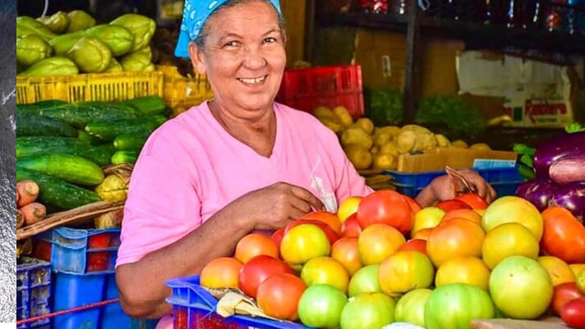Puerto Plata: Guided City Tour with Historic Center and San Felipe Fort - Practical Tips and Insights