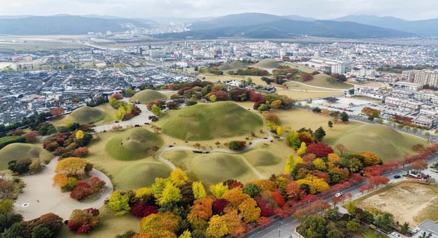 Busan: Gyeongju Full-Day Small-Group Tour with Hotel Pickup - The Experience Breakdown: What You Can Expect