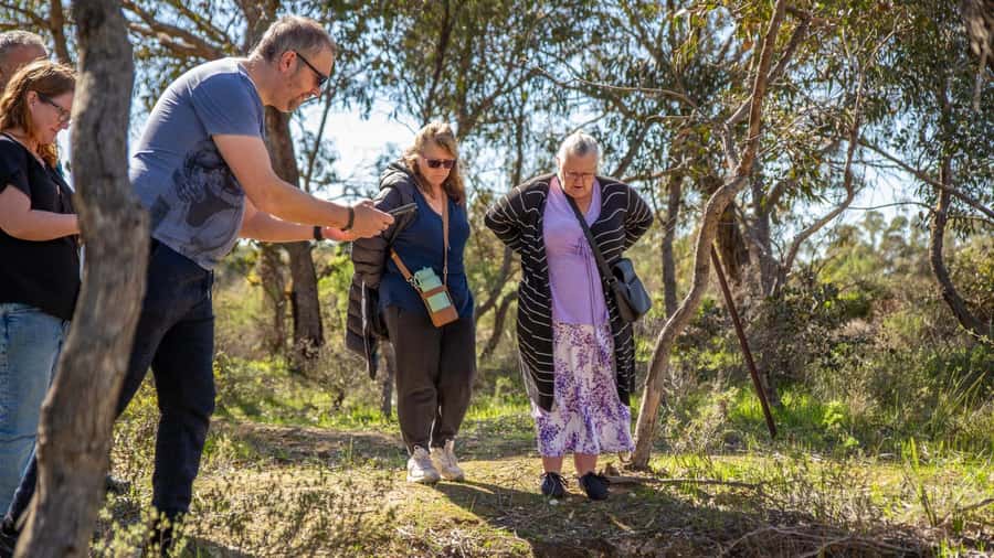 Bendigo: Chinese Heritage Tour with Morning Tea (Sundays) - Why This Tour Is Worth It