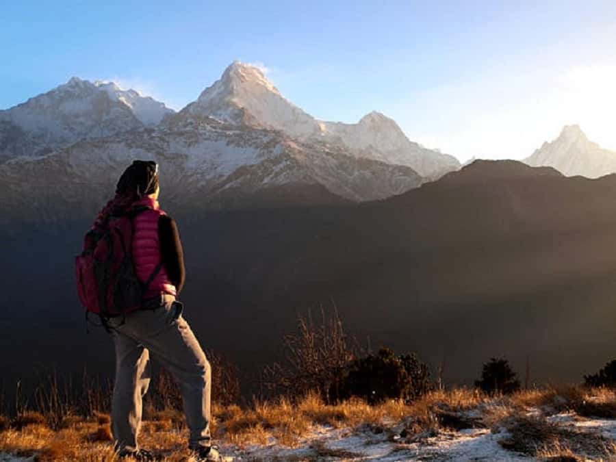 Pokhara: Ghorepani-Poon Hill Trek 2-Days/3-Days/4-Days - What to Expect on the Trek