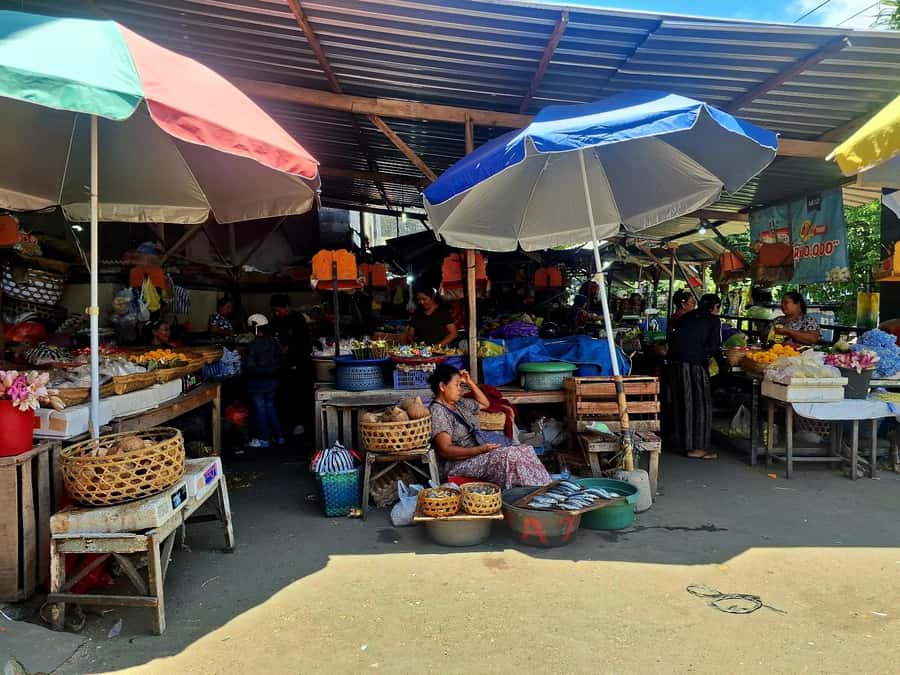 Bali: Karangasem Royal Heritage & Local Market Tour - The Sum Up