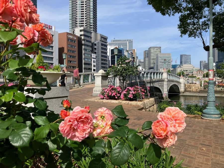 Osaka: Riverside E-Bike Tour with Coffee and Udon - FAQ