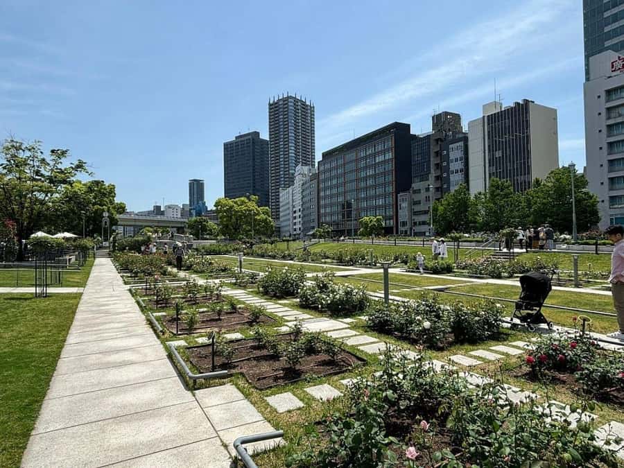 Osaka: Riverside E-Bike Tour with Coffee and Udon - What Makes This Tour Special?