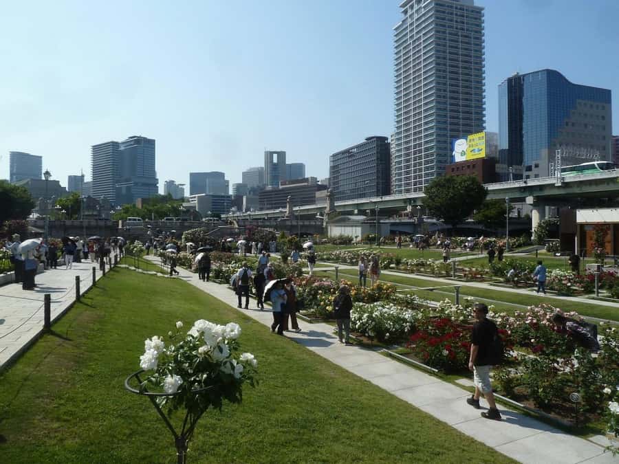 Osaka: Riverside E-Bike Tour with Coffee and Udon - Practical Details and What to Expect
