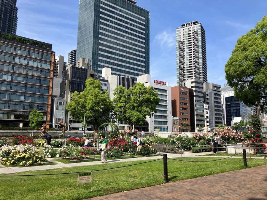 Osaka: Riverside E-Bike Tour with Coffee and Udon - Who Will Love This Tour?