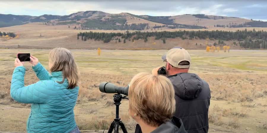 Wonders of Yellowstone: Private Lower Loop Tour with Lunch - Insights from Reviews