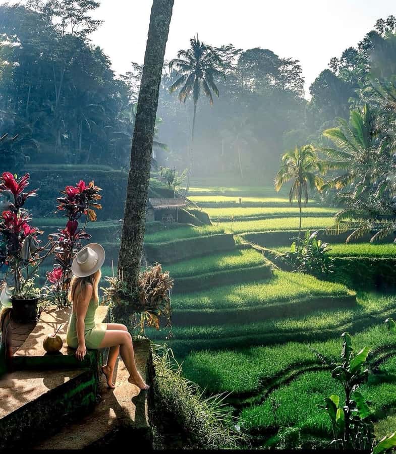 Bali: Kintamani Sunrise Cafe, Waterfalls & Coffee Plantation - What Makes This Tour Special?