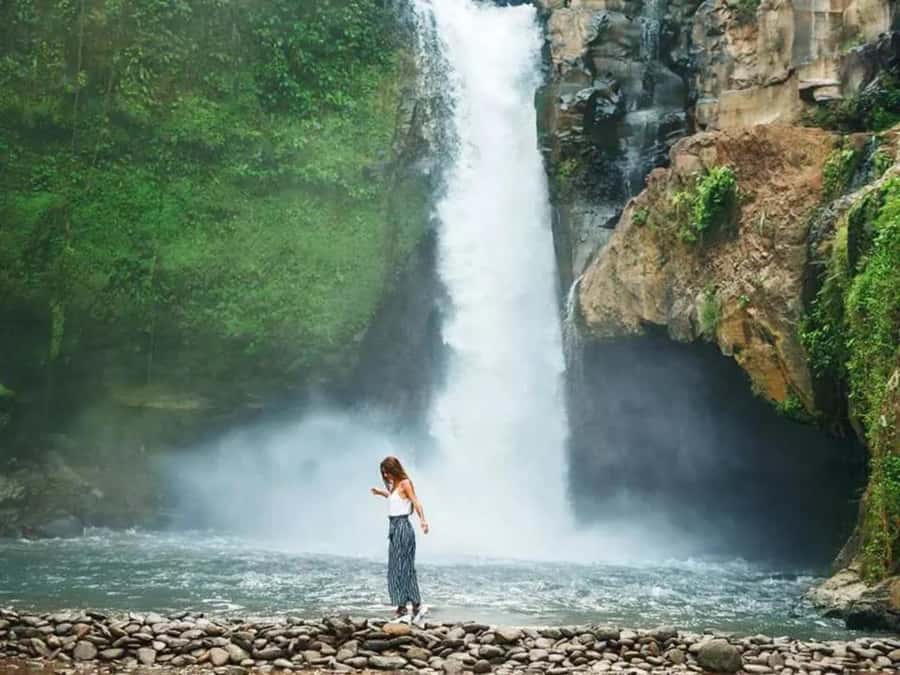 Ubud: Horse Ride, Turtle Conservation Visit & Waterfall Tour - Exploring Bali’s Natural Charms: An In-Depth Review