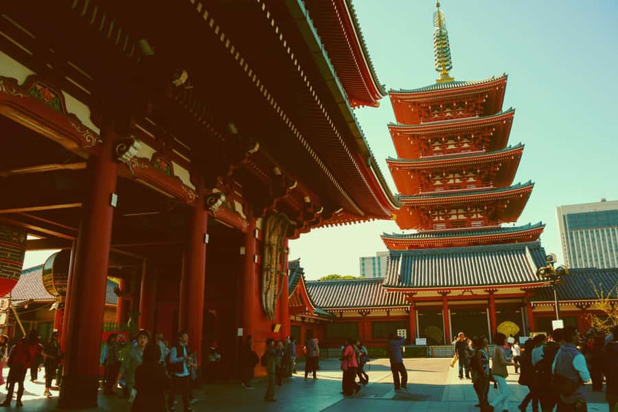 Tokyo: East Side Highlights - Asakusa, Skytree & Ameyoko - Practical Details and Value
