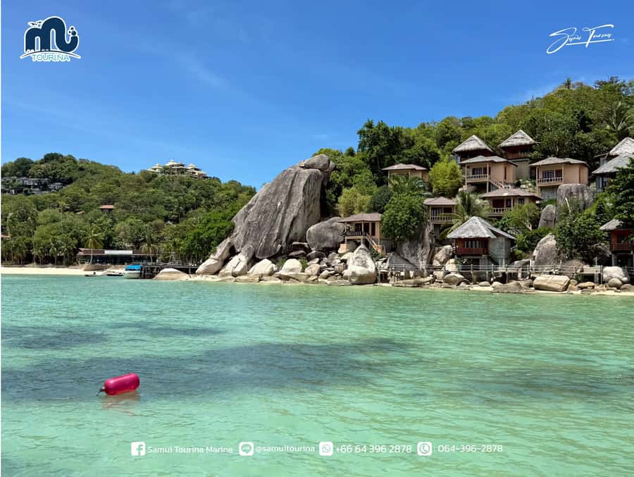 Koh Tao & Koh Nang Yuan: Snorkel the Sparkling Seas - Final Thoughts