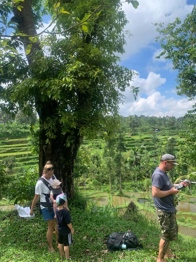 Tetebatu: Jungle, Waterfall, and Village Tour - Who Should Consider This Tour?