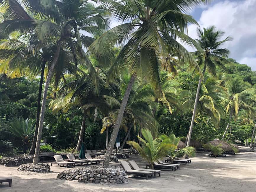 Private: Luxury Saona Island Speedboat Trip with Open Bar - The Sum Up