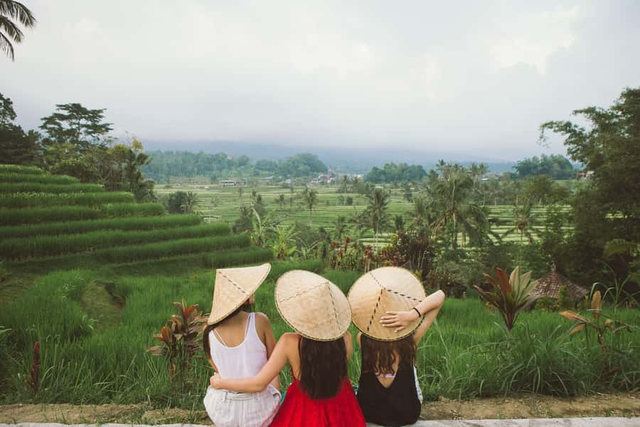 Ubud: Full-Day Highlights Tour with Female Driver Guide - A Closer Look at the Ubud Highlights Tour