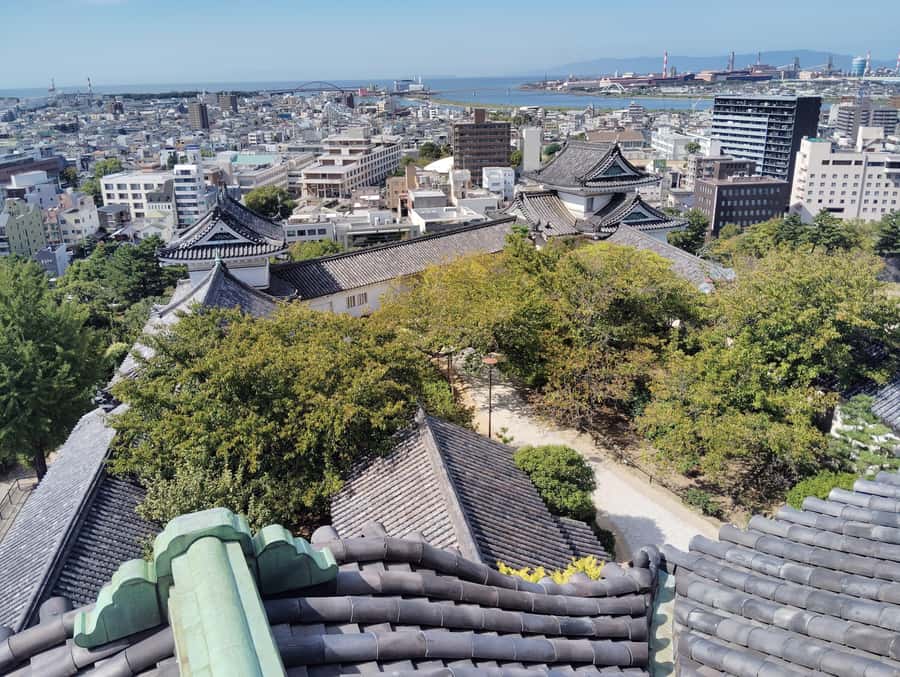 Wakayama: Tokugawa Castle That Guarded the Southern Coast - Frequently Asked Questions