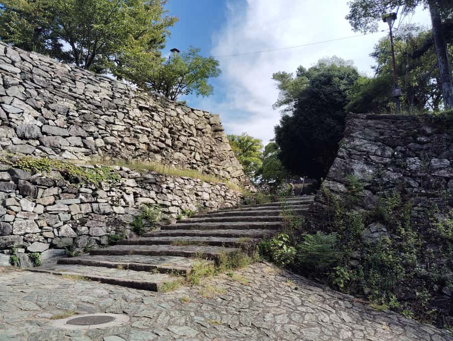 Wakayama: Tokugawa Castle That Guarded the Southern Coast - Who Will Love This Tour?