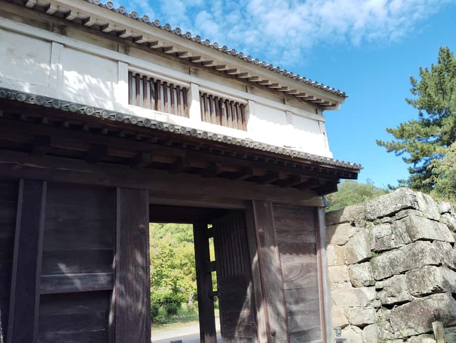 Wakayama: Tokugawa Castle That Guarded the Southern Coast - A Closer Look at the Wakayama Castle Tour
