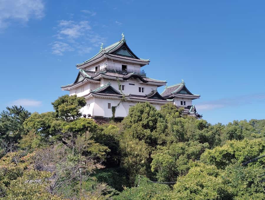 Wakayama: Tokugawa Castle That Guarded the Southern Coast - Final Thoughts: Who Is This Tour Perfect For?