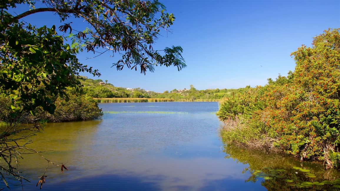 Private: Good Lagoon Exploration in Jaragua National Park - Private: Good Lagoon Exploration in Jaragua National Park