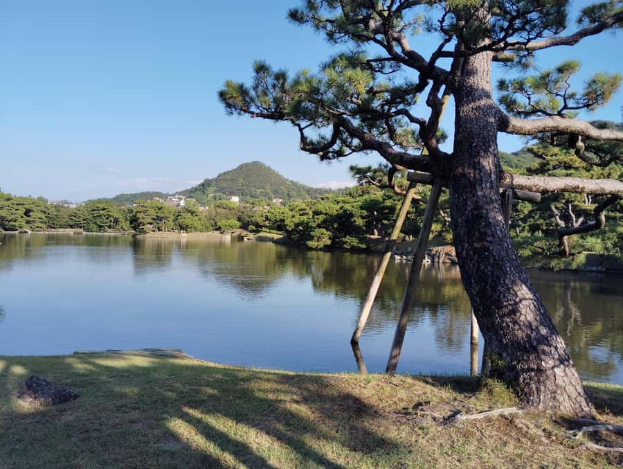 Wakayama: Yosuien  Tokugawa Garden of Edo Elegance - Why This Tour Is a Great Choice