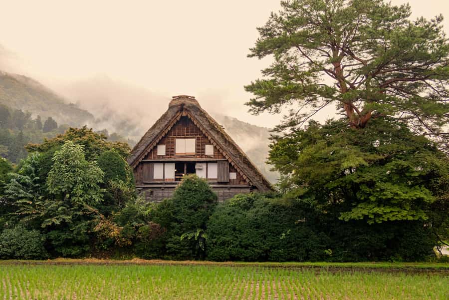 From Tokyo: Day Trip to Shirakawago & Kanazawa - Kenrokuen Garden – A Natural Oasis