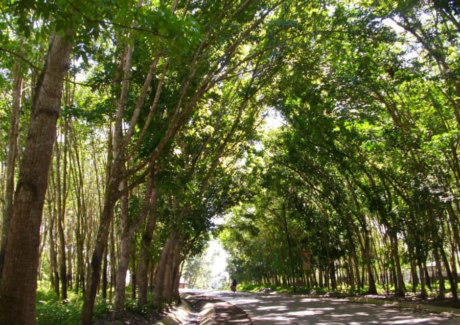 Zamboanga: Basilan Island Tour with Hotel Transfer - Practical Considerations and Tips