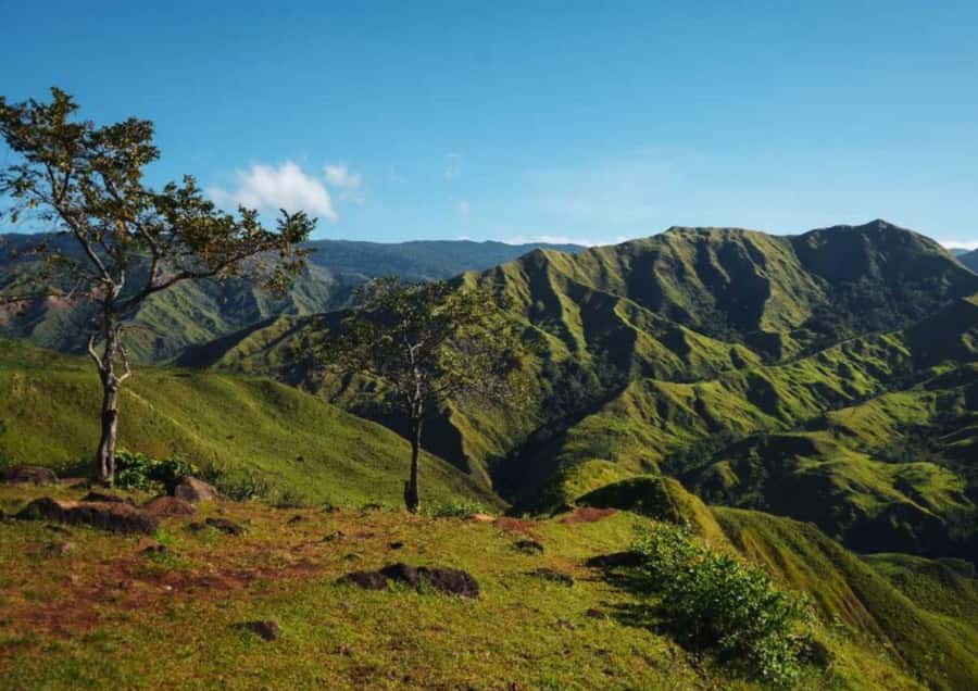 Zamboanga: Basilan Island Tour with Hotel Transfer - An In-Depth Look at the Basilan Island Day Tour