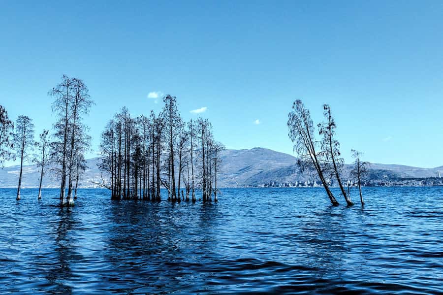 2-Day Lugu Lake: Boat Ride, Island Hike & Mosuo Cultural - Practical Considerations