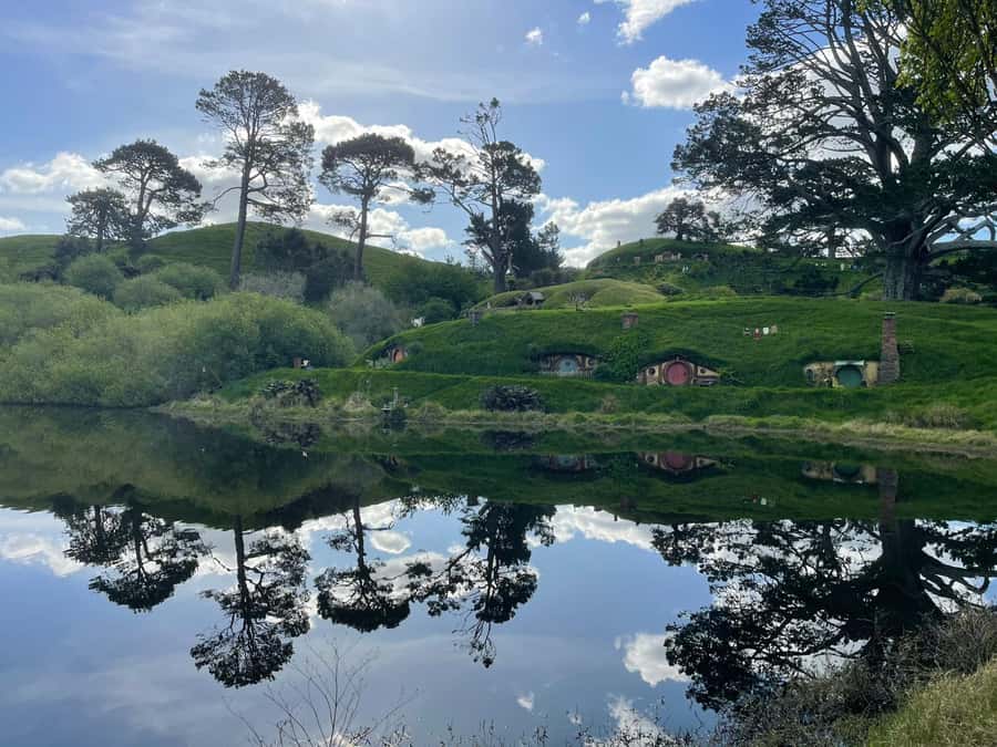 From Auckland: Hobbiton, Waitomo Caves & Kiwi House Tour - Exploring the Day in Detail