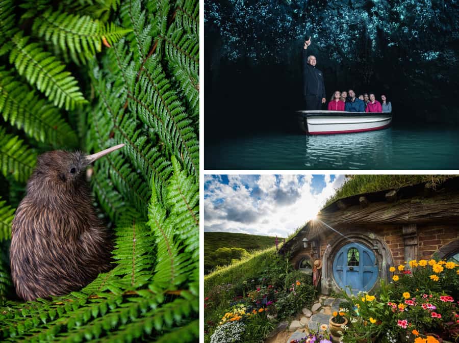 From Auckland: Hobbiton, Waitomo Caves & Kiwi House Tour - What Makes This Tour Stand Out?