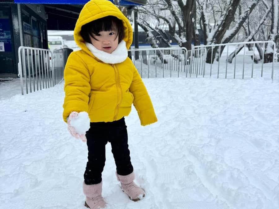 Melbourne: Mt Buller Day Trip with Yarra Valley Chocolaterie - Good To Know