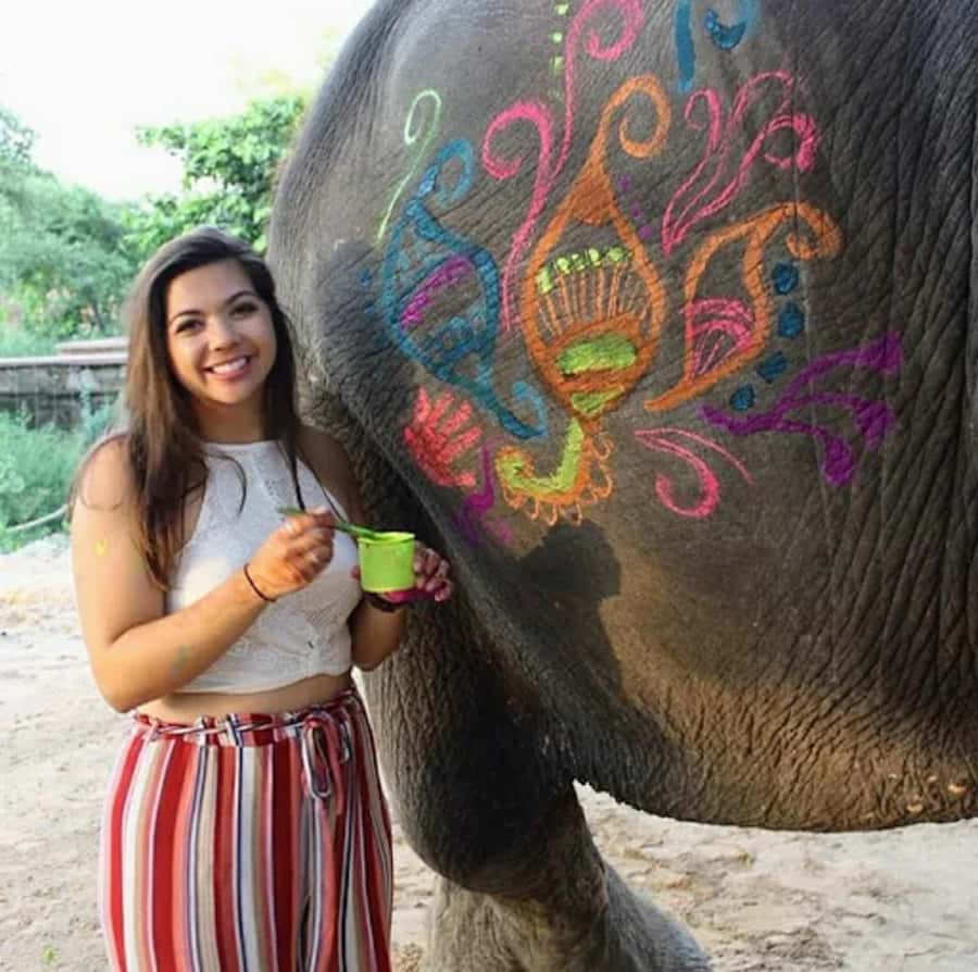 Jaipur: Elephant Encounter & Royal Sightseeing by Car - An In-Depth Look at the Tour Experience