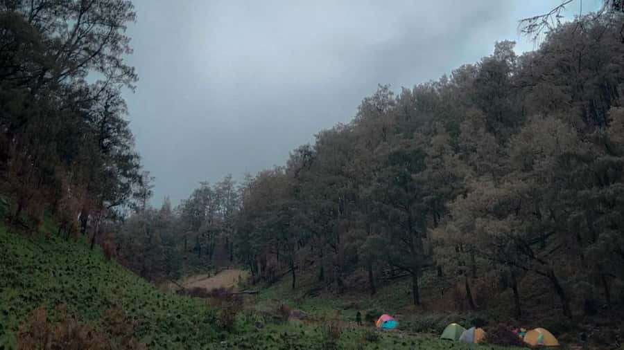 Yogyakarta: Mount Lawu 3-Day Trekking and Camping Tour - Final Thoughts