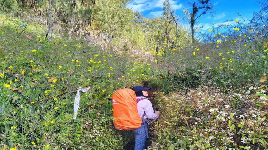 Yogyakarta: Mount Lawu 3-Day Trekking and Camping Tour - Key Points