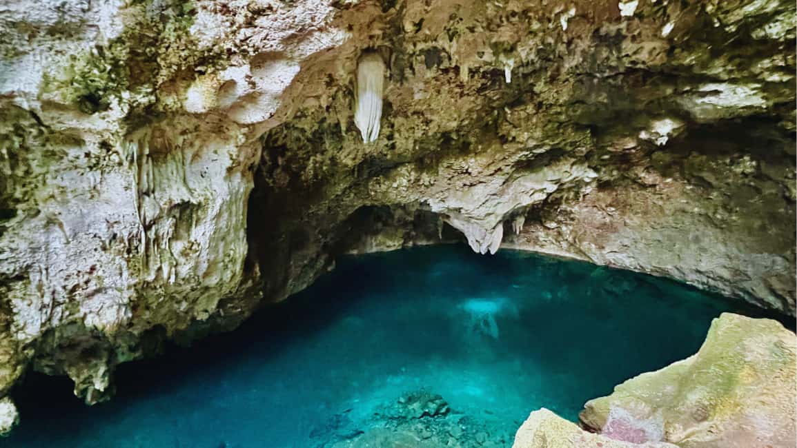 Punta Cana: Experience the essence of Santo Domingo with lunch and the Colonial Zone - Final Thoughts