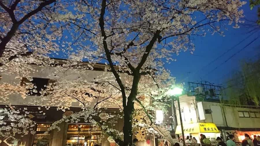 Moonlit Whispers of Kyoto:A Guided Romantic Night Walk Tour - Exploring Kyoto’s Nighttime Charms: In Detail