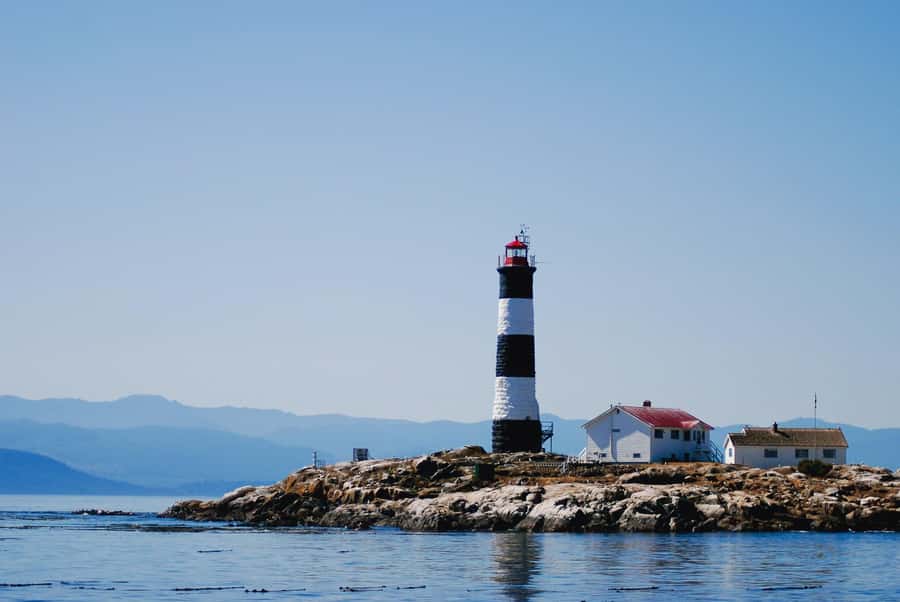 Victoria: Winter Wildlife Tour with Hot Drinks - FAQ