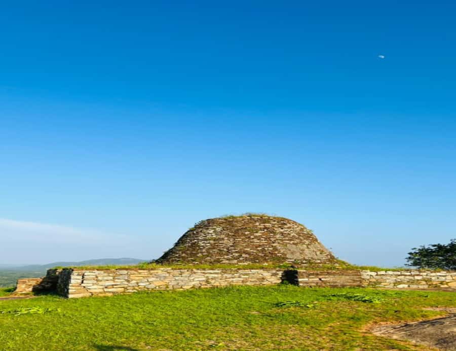 Kandy: Yapahuwa Rock Fortress Private Day Trip - Who Should Consider This Tour?
