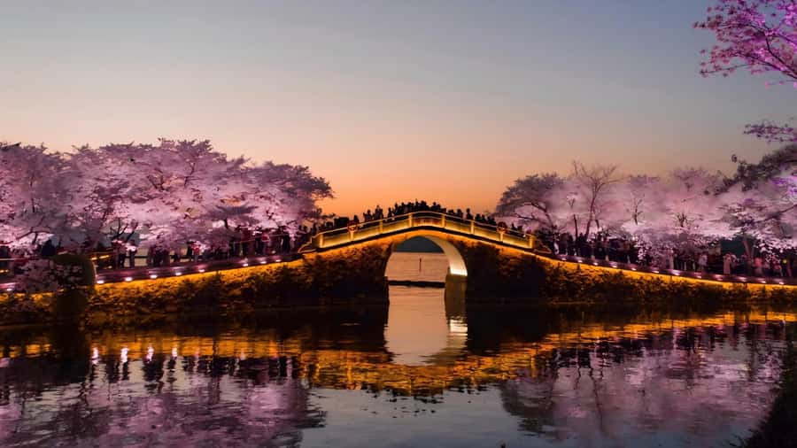 Shanghai: 7-Day Private Tour with Suzhou & Nanjing - Price and Value