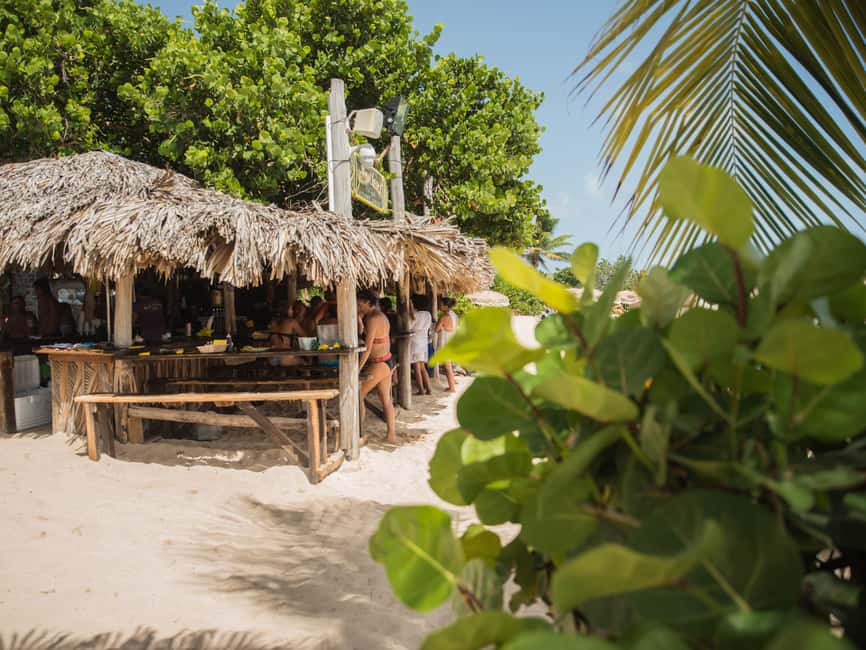 Private: The Great Barrier & Coral Garden Scuba Dive Tour - Why This Tour Is a Great Choice