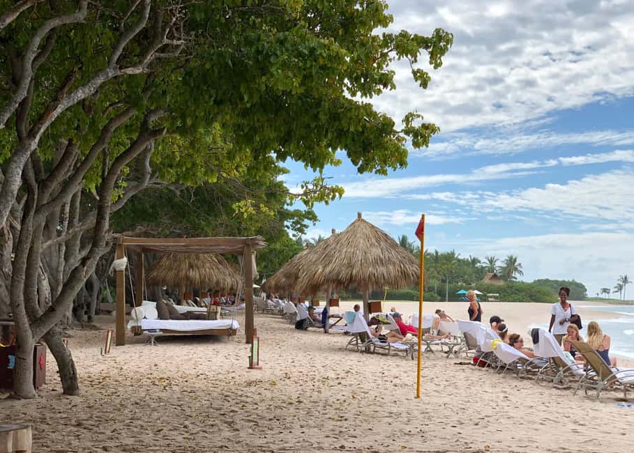 Private: The Great Barrier & Coral Garden Scuba Dive Tour - An In-Depth Look at the Catalina Island Private Scuba Tour