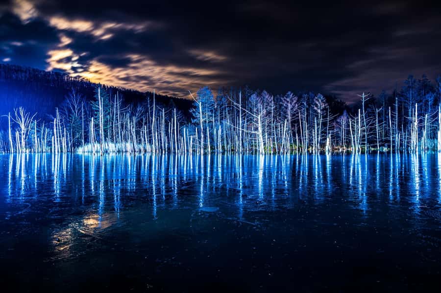 Sapporo: Asahiyama Zoo and Blue Pond Day Trip - Final Thoughts