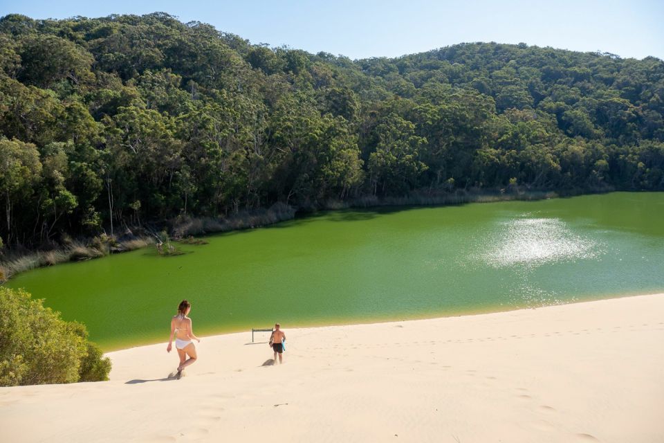From Rainbow Beach: K'gari, Fraser Island Two-Day Coach Tour - Final Thoughts