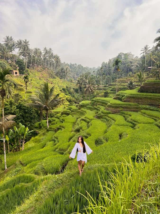 Ubud: Goa Garba, Waterfalls, and Rice Terrace Private Tour - Authenticity and Personal Experience