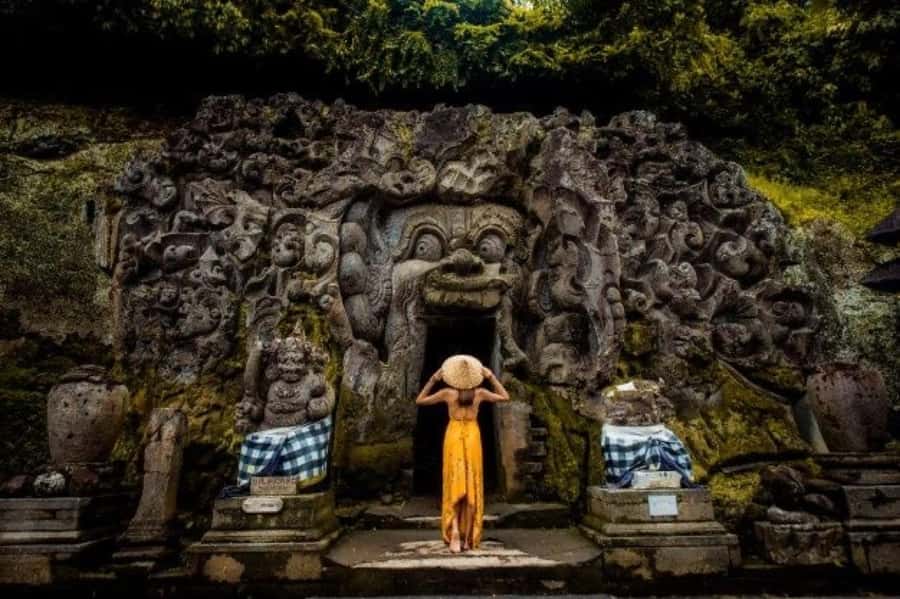Ubud: Goa Garba, Waterfalls, and Rice Terrace Private Tour - What to Expect from the Ubud Private Tour