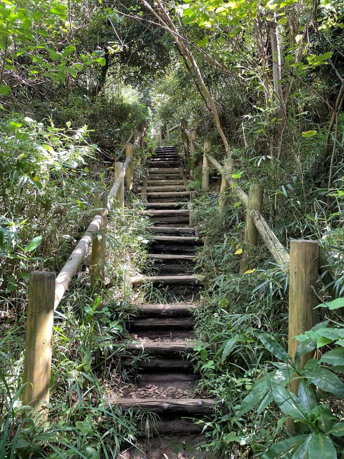From Tokyo: Kamakura Daibutsu Trail & Tour to Great Buddha - Good To Know