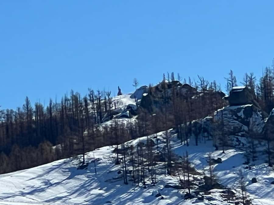 Winter tour: 2-Day Khustai & Terelj National Park Tour - Good To Know